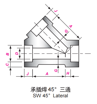 SW 45 LATERAL (2)