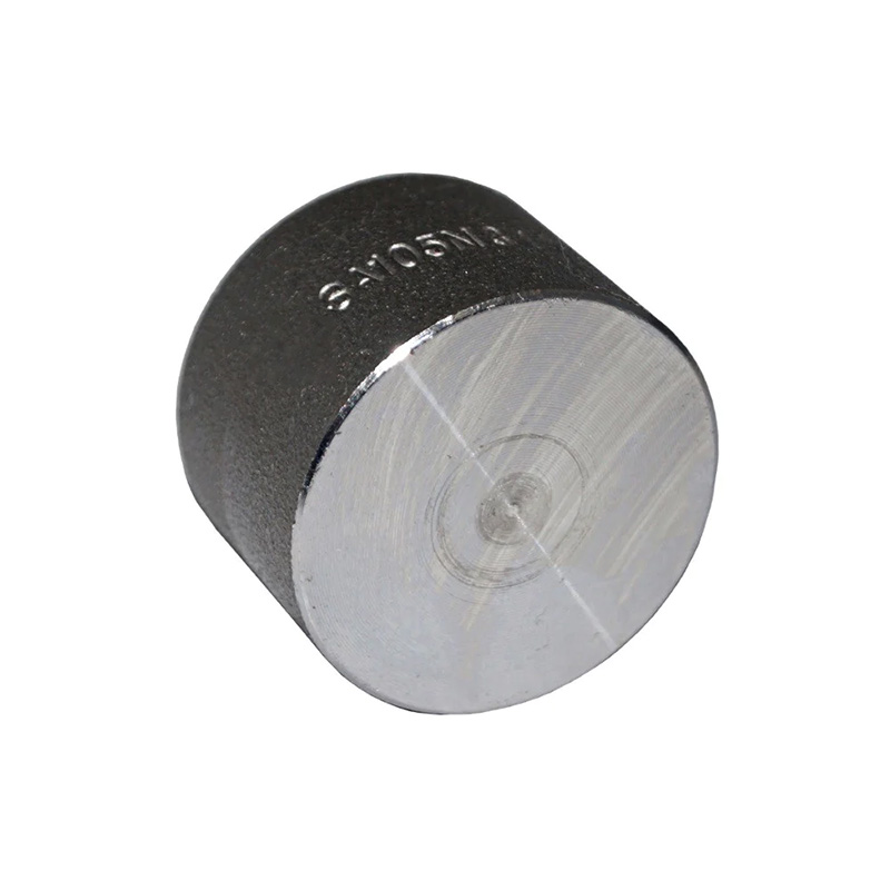 Carbon Steel Socket Weld End Tube Cap