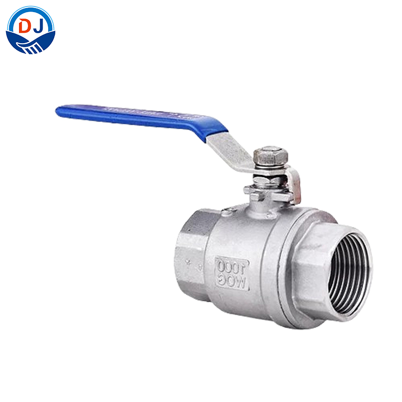 2 Piece Threaded SS Ball Valve